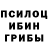 Псилоцибиновые грибы ЛСД Seeker Jay