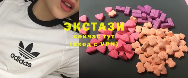 СК Алексин